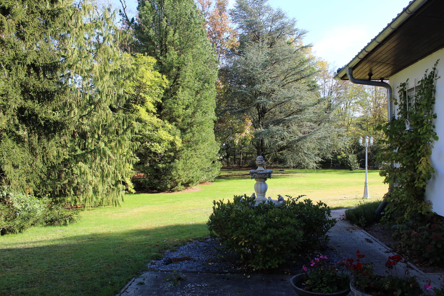 Bild 9