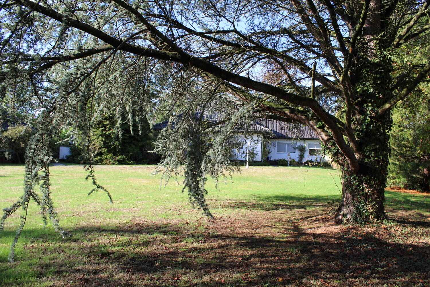 Bild 11