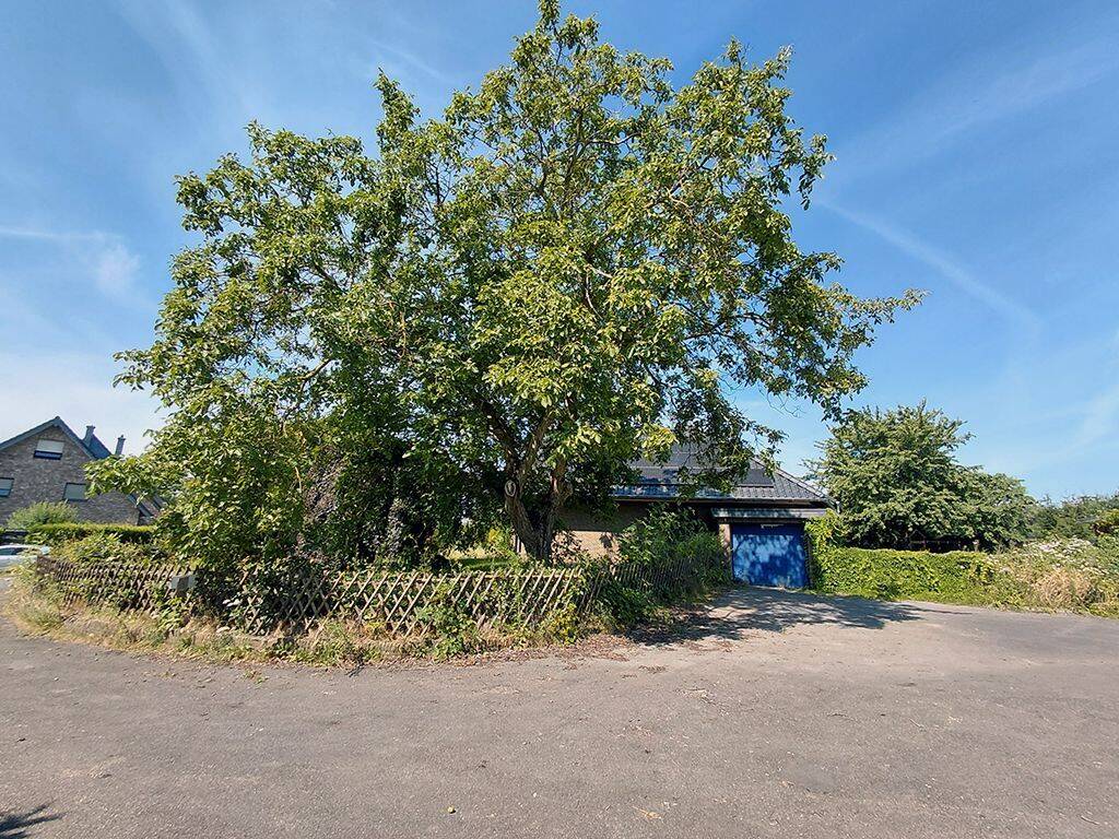 Bild 12