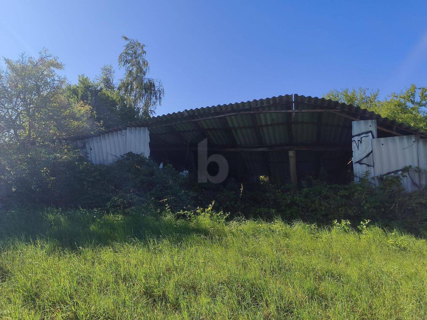 Bild 5