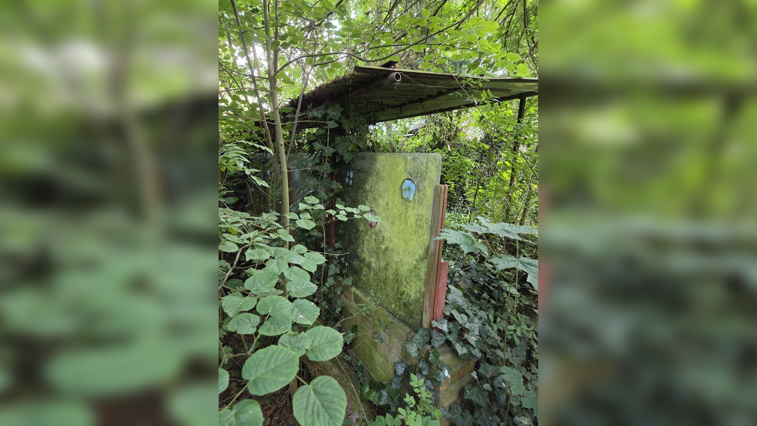 Bild 6