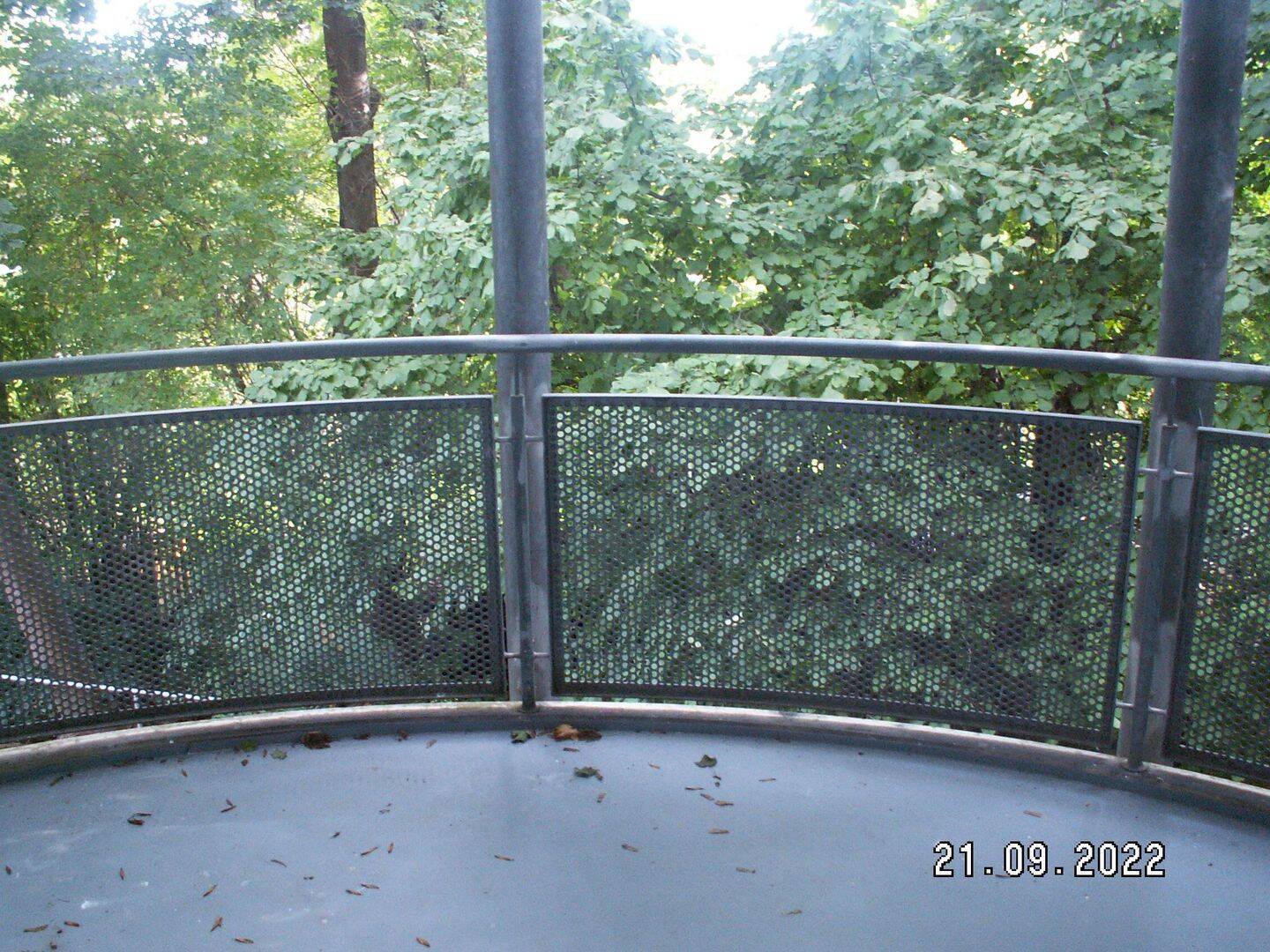 Bild 11