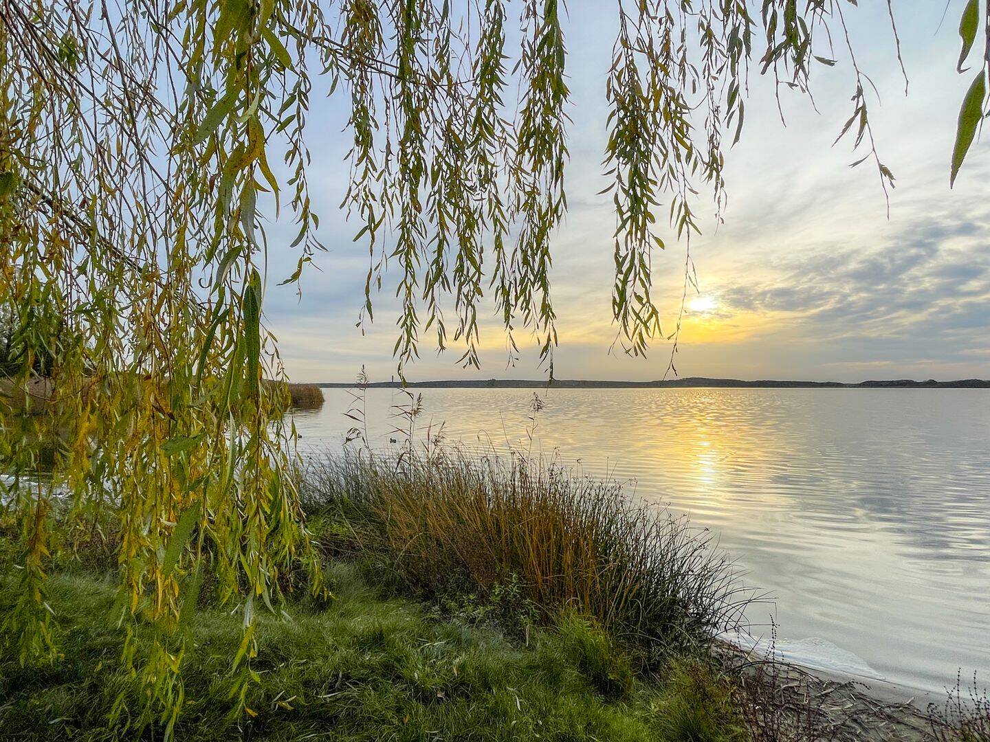 Baugrundstück in Rangsdorf – ruhige Lage nahe Rangsdorfer See, 15834 Rangsdorf