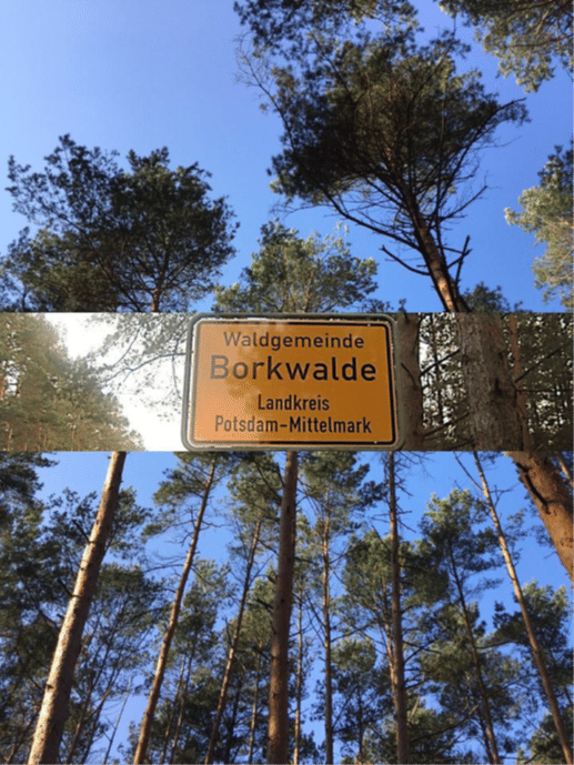 Traumgrundstück ***provisions- und bauträgerfrei***, 14822 Borkwalde