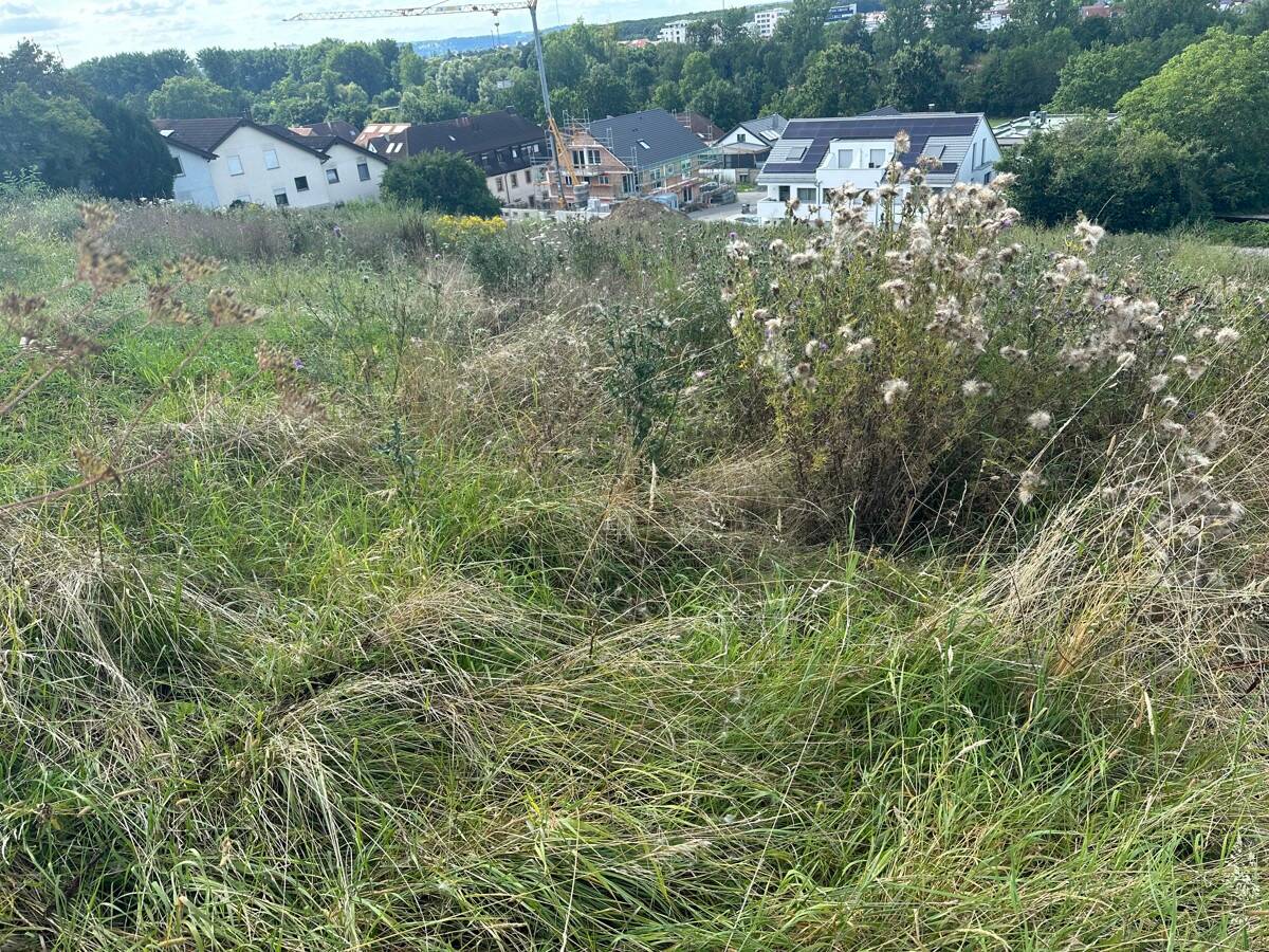 SCHÖNES BAUGRUNDSTÜCK IN BESTER LAGE, 74177 Bad Friedrichshall