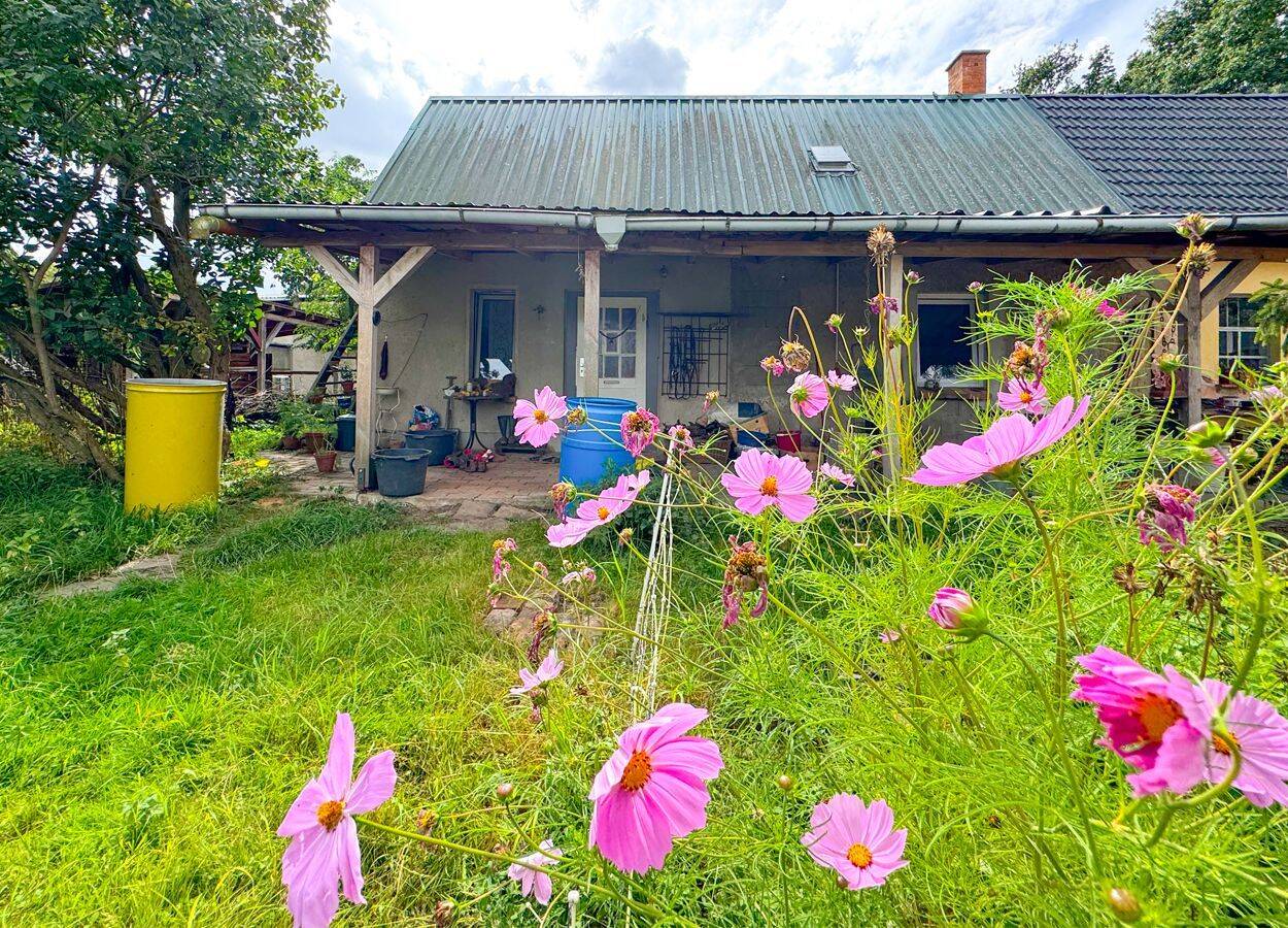 Rückzugsort mit Obstbaumwiese, 39615 Seehausen (Altmark)