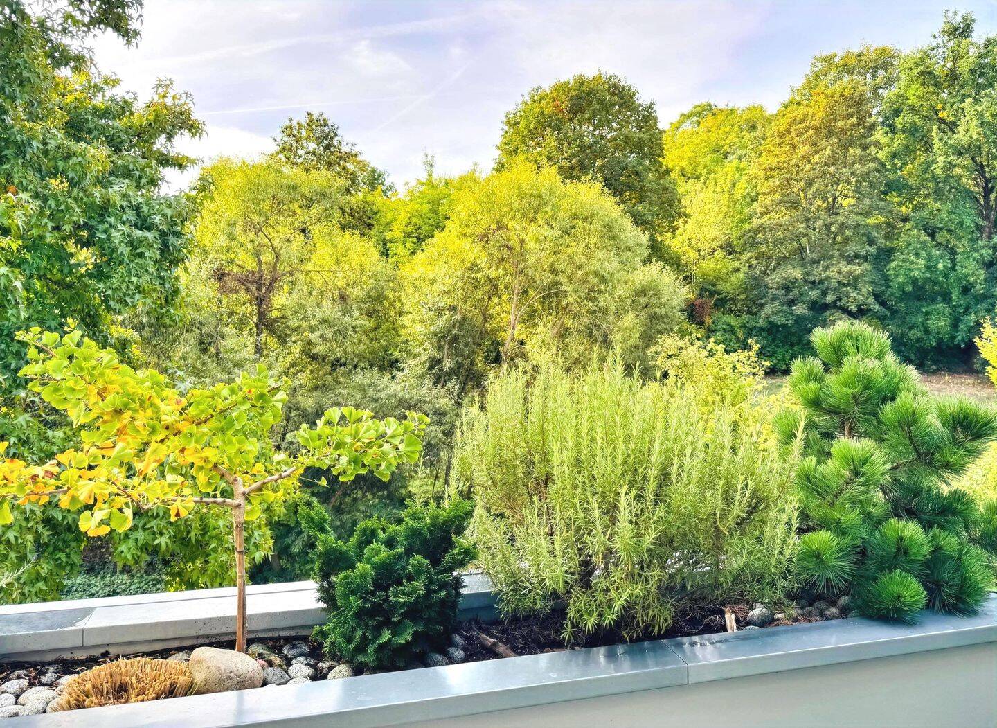 Modernes Wohnen am Kurpark in Sonnenberg, 65193 Wiesbaden (Sonnenberg Wiesbaden)