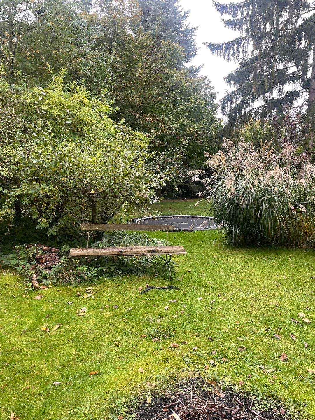 V E R K A U F T – Schnäppchen 700 qm plus 1000qm, 16341 Panketal