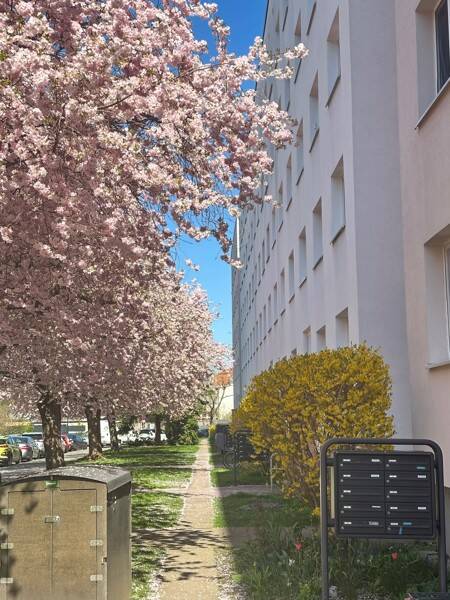 Attraktiv! Individuelle 2-Zimmer-Wohnung, 1277 Dresden