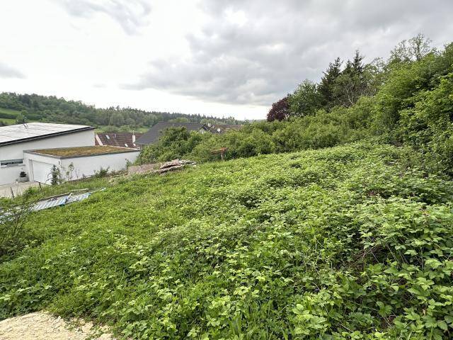 Bodelshausen – Bauplatz in gesuchte Lage – Verkauf aus Insolvenz, 72411 Bodelshausen