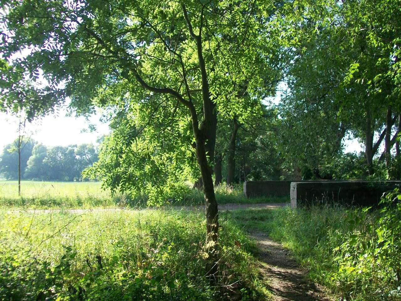 Grundstück in ruhiger Nebenstraße, 6369 Südliches Anhalt