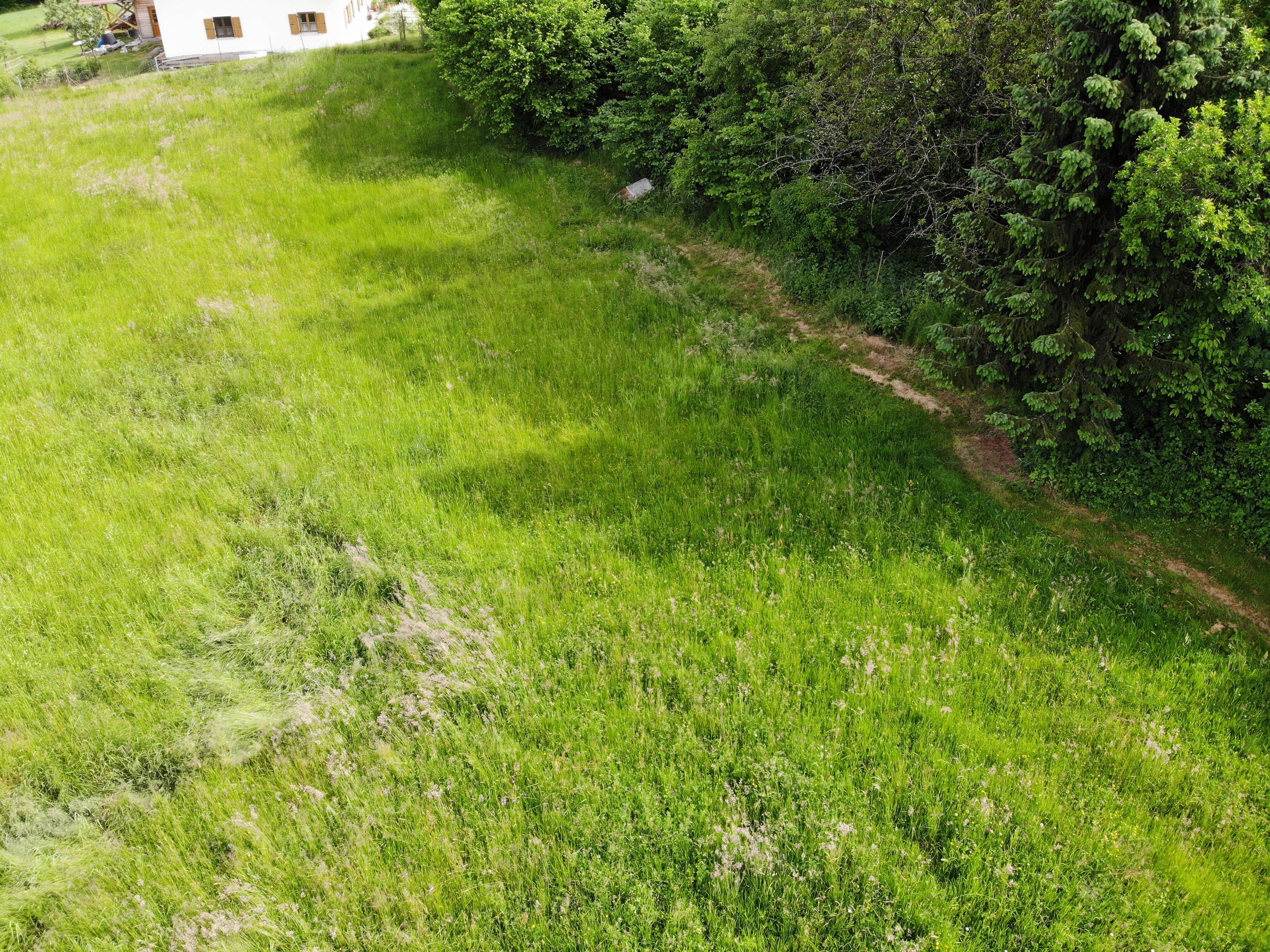 Baugrundstück – Unverbaubar, mit Weitsicht, 94405 Landau a.d. Isar (Landau)