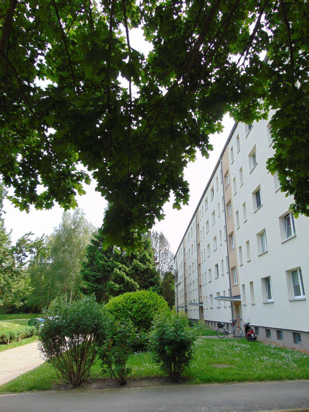2-Zimmer-Wohnung im Erdgeschoss in Stralsund Knieper West, 18435 Stralsund