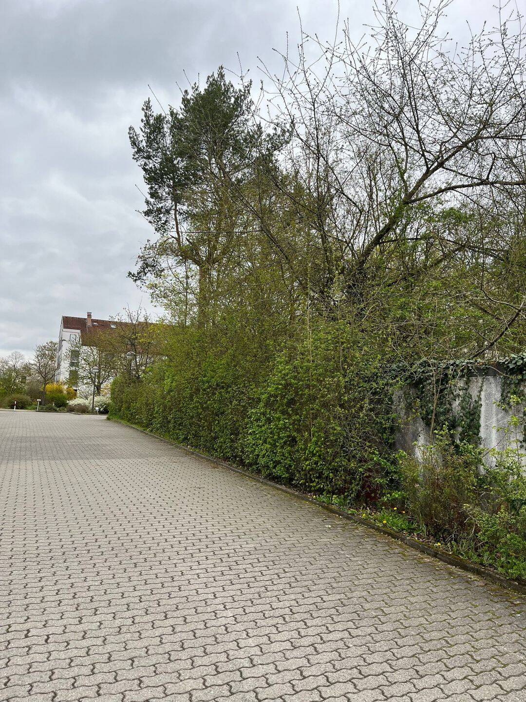 Frauenland – schicke 1,5 Zimmerwohnung, 97074 Würzburg (Frauenland Sanderau)