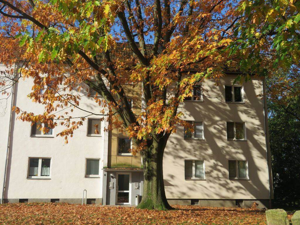 WWS – Single-Wohnung in zentrumsnaher Lage!, 32051 Herford