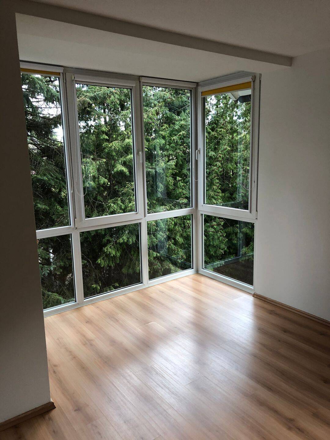 Helle 2-Zimmer-Wohnung mit Erker & Einbauküche in grüner Lage – ab 15.10.2026, 16540 Hohen Neuendorf