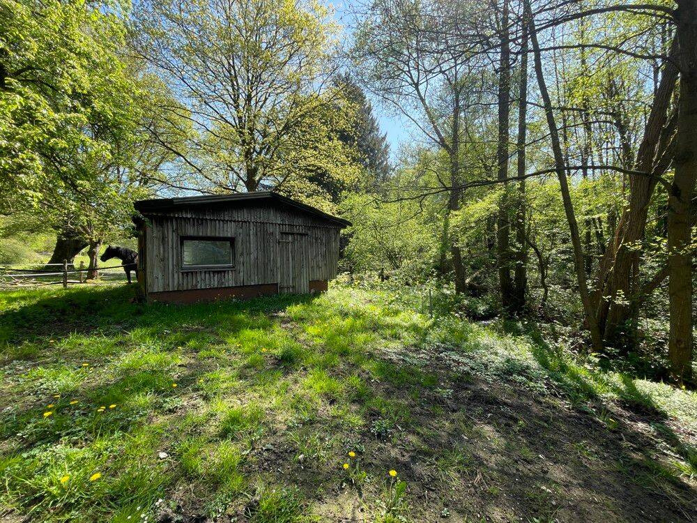 Bild 10