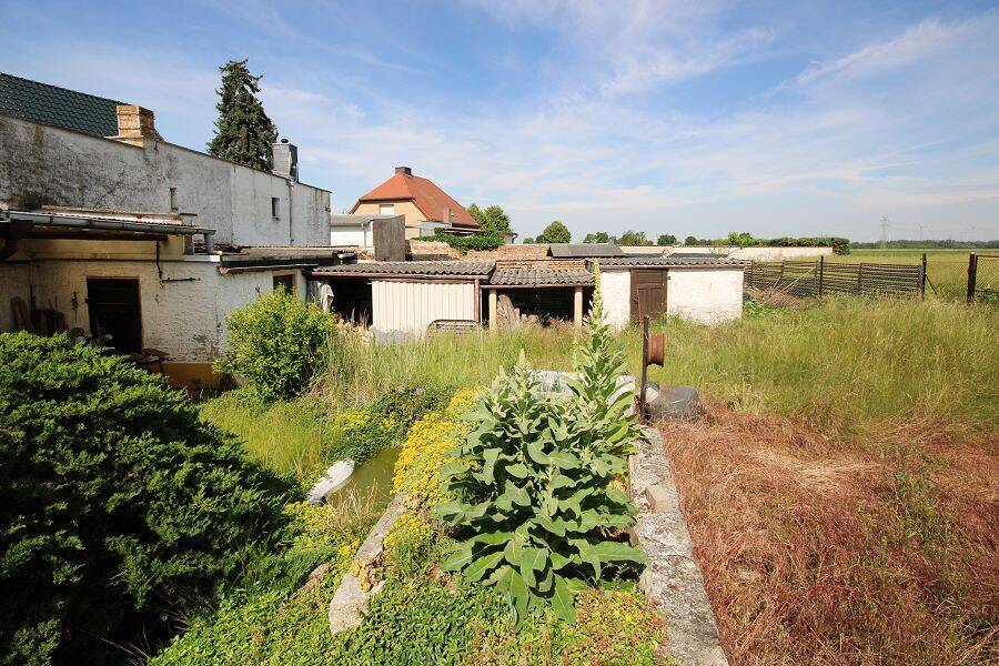 Bild 8