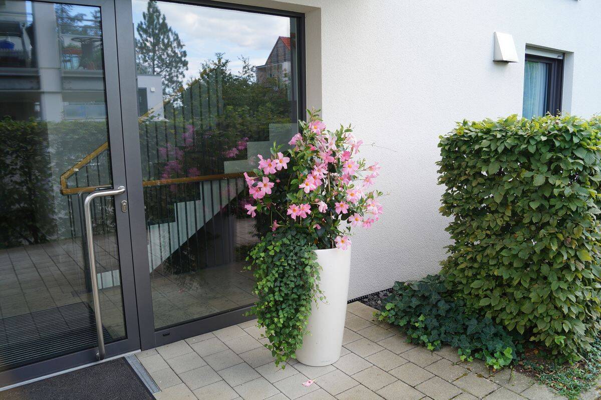 Bild 6