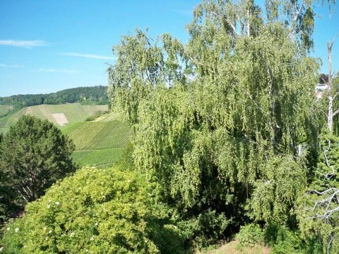 3,5 Zimmer / Stuttgart Rotenberg / Ruhiges Wohnen im Grünen und trotzdem zentrumsnah, 70327 Stuttgart