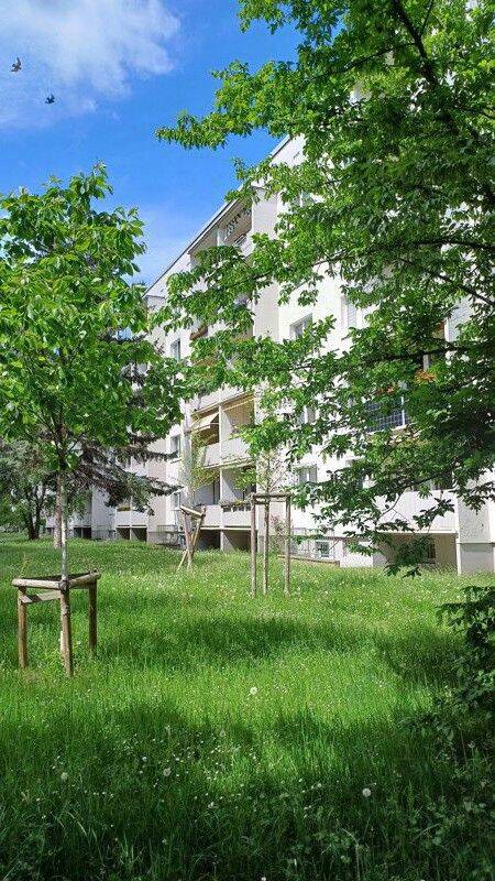 Nachmieter zeitnah gesucht! Kontakt: sylvia.boettcher@vonovia.de, 1257 Dresden (Großzschachwitz Leuben Lockwitz Niedersedlitz)