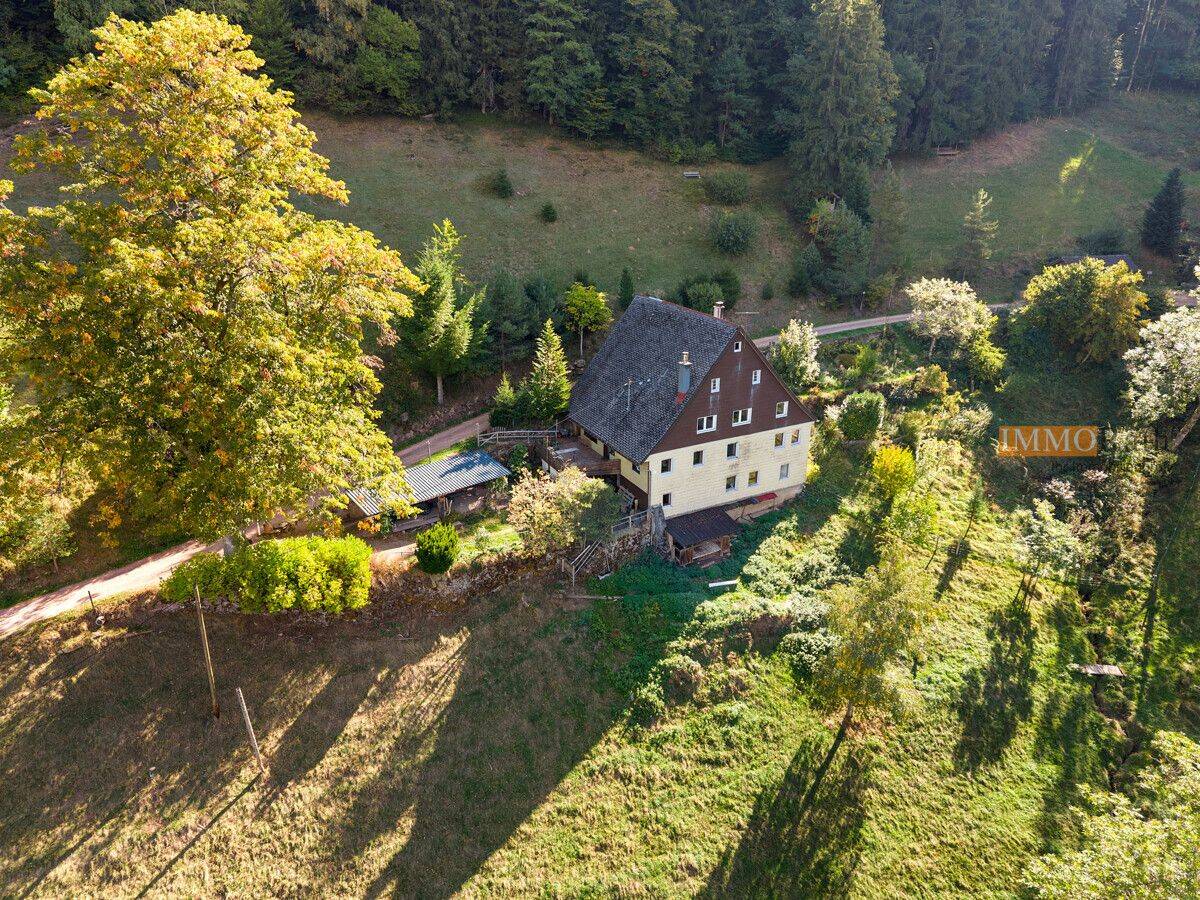 IMMORath.de – Idyllischer Schwarzwaldhof für Selbstversorger in absoluter Alleinlage, 78148 Gütenbach
