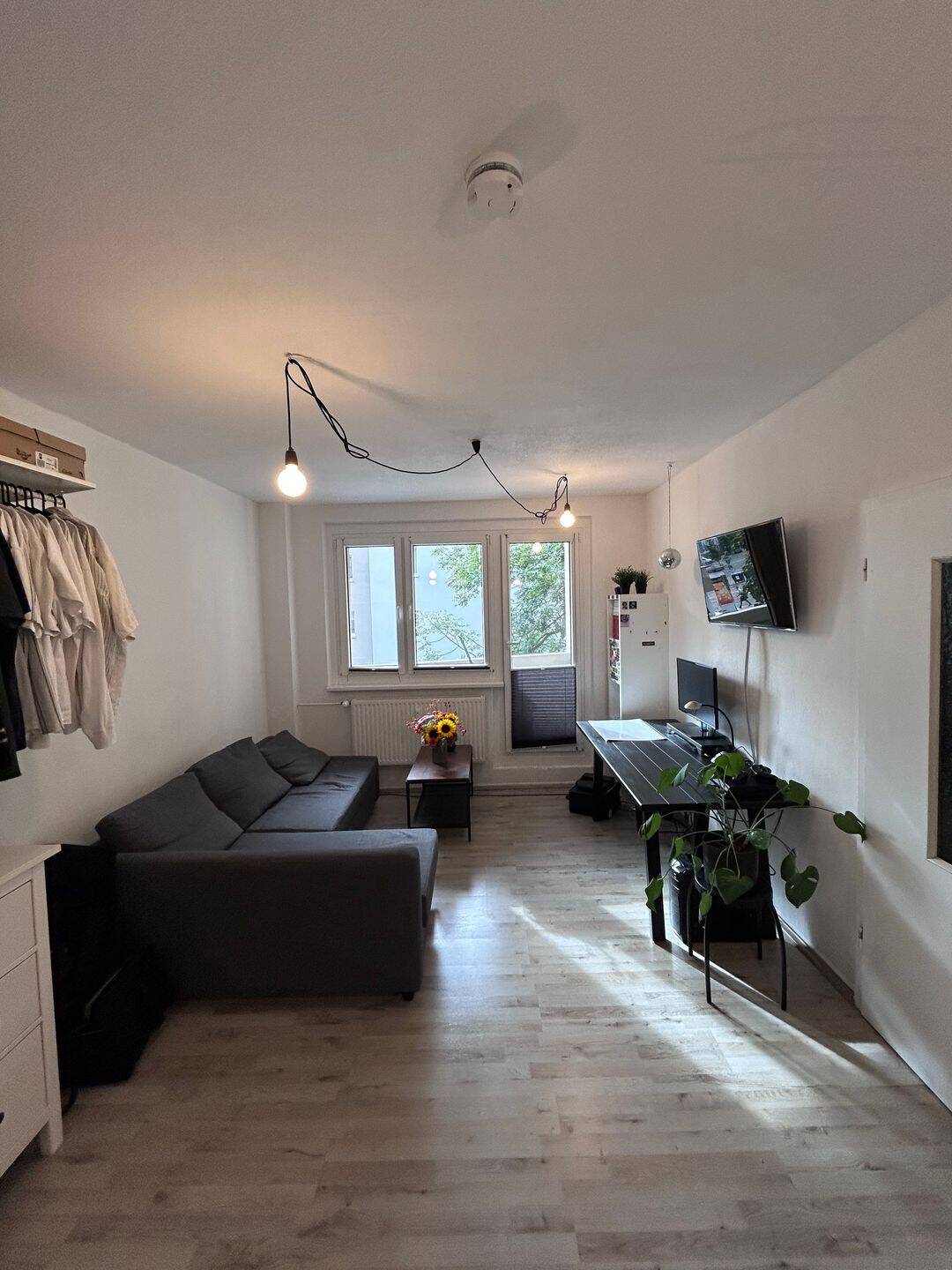 zentrale 1-Zimmer-Wohnung in der Altstadt von Halle mit EBK, teilmöbliert, 6108 Halle (Saale) (Altstadt Giebichenstein Innenstadt Paulusviertel Saaleaue)