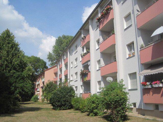 Vogelnest in schöner Lage: 2-Zimmer-Stadtwohnung, 60433 Frankfurt am Main (Bonames Dornbusch Eschersheim Frankfurter Berg Preungesheim)