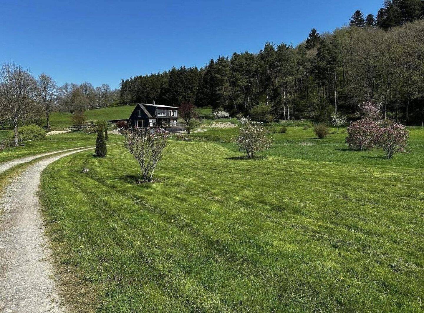 Naturidylle in Alleinlage, 4,7 ha, 55481 Kirchberg (Hunsrück)