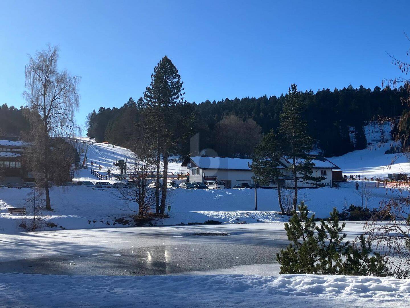 SEEBLICK, MÖBLIERT & FERIENTAUGLICH, 79737 Herrischried