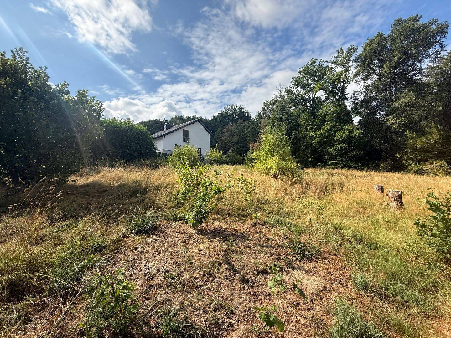 Zwei großzügige Baugrundstücke mit Weitblick in ruhiger Wohnlage von Roetgen-Rott, 52159 Roetgen