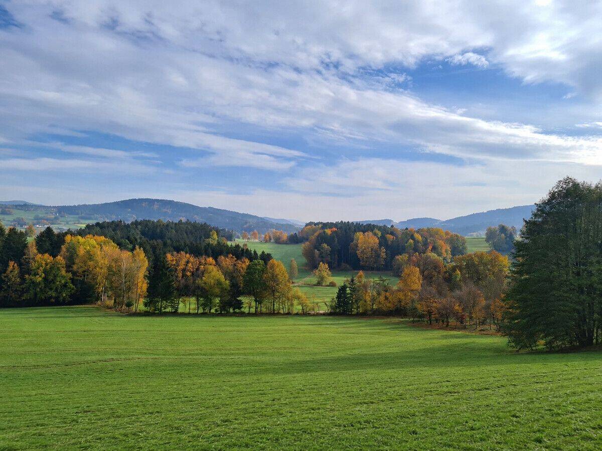 Naturnahes Baugrundstück mit Fernblick im Bayerischen Wald, 94371 Rattenberg