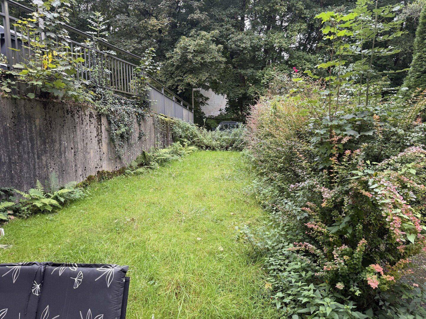 2Zi KDB mit Garten, Solingen Wald, Waldrand, Renoviert, auf Wunsch mit Einbauküche für kleines Geld, 42719 Solingen (Gräfrath Merscheid Solingen-Mitte Wald)