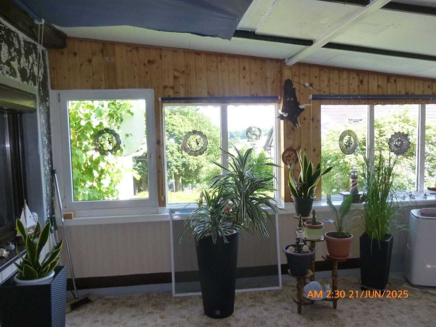 Bild 5