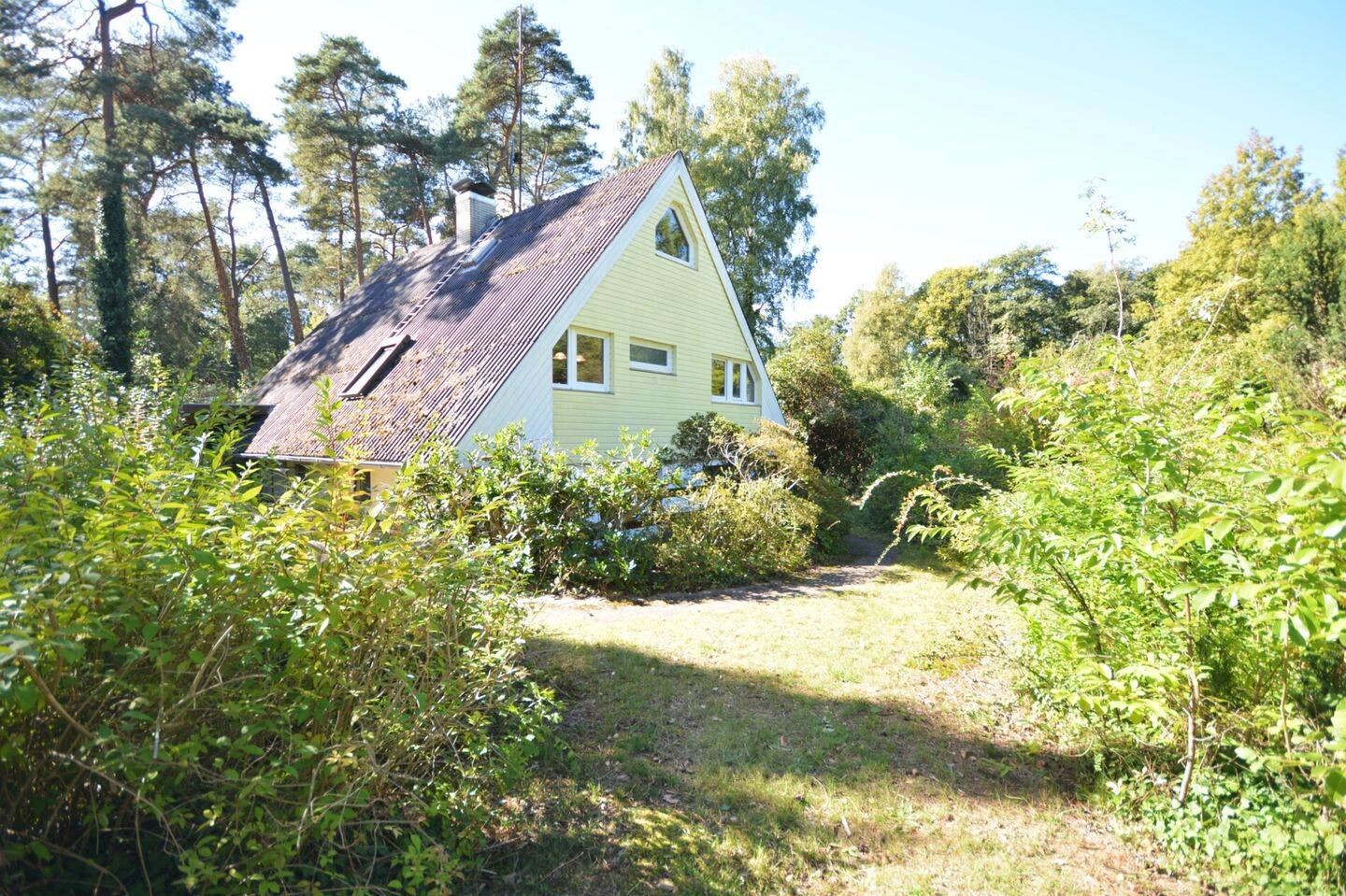 Bild 7