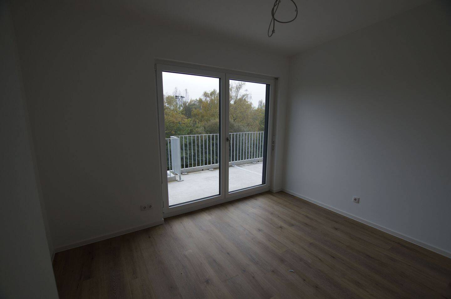 Bild 12