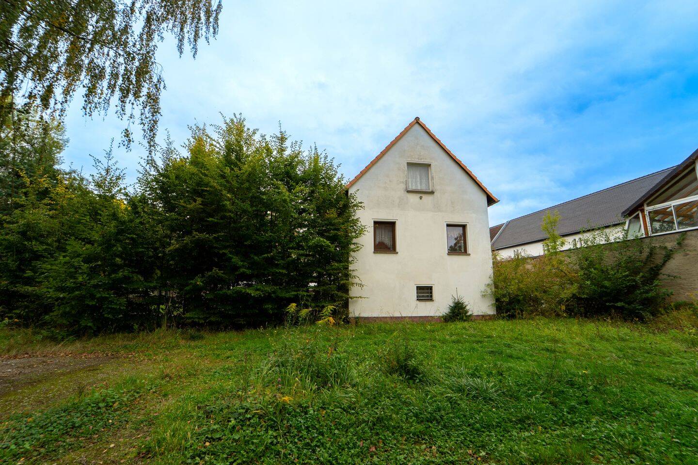 Bild 5