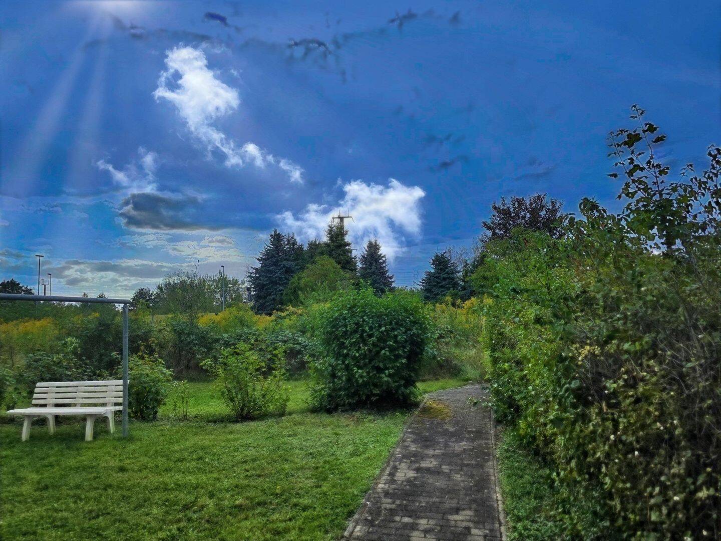 Bild 5