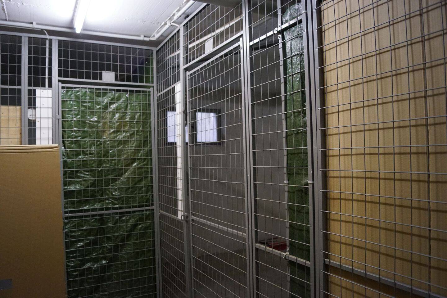 Bild 10