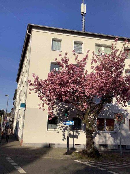 2 renovierte Zimmer mit großer Küche und Duschbad im EG, 45479 Mülheim an der Ruhr (Broich Saarn Saarn/Mintard Speldorf)