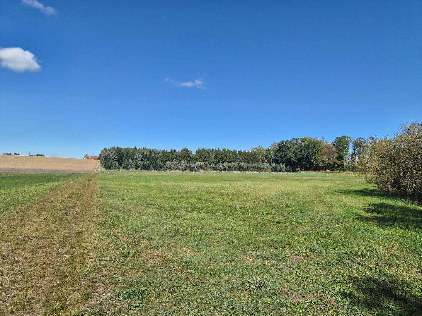 Landwirtschaftliche Flächen Acker und Grünland bei Altshausen, 88361 Altshausen