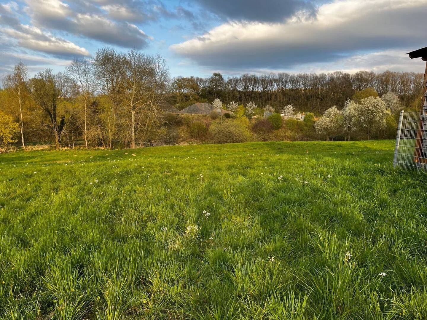 Ihr Platz für ein Zuhause – großes Baugrundstück in Holler bei Montabaur!, 56412 Holler