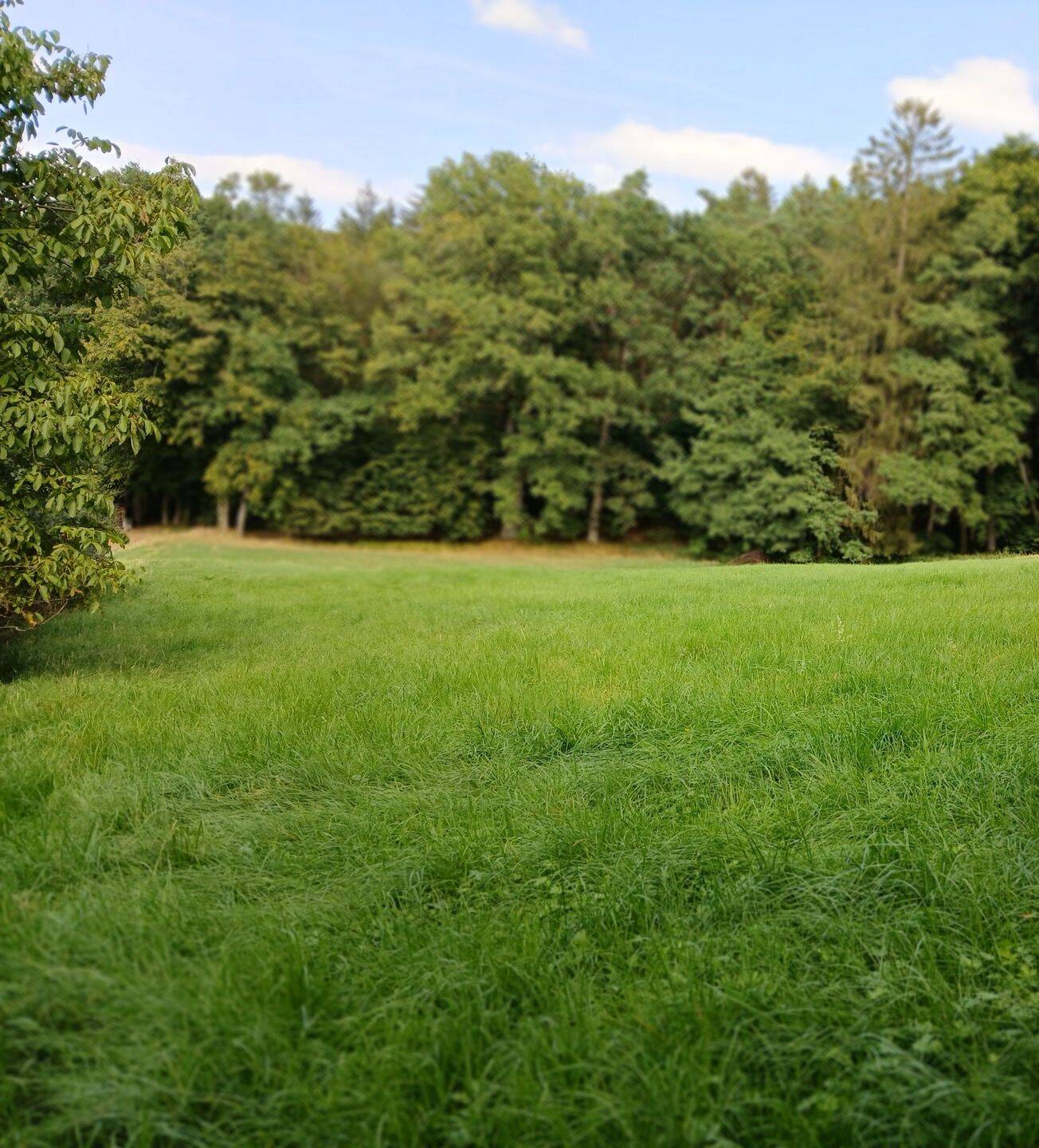 Grundstück zum Verkauf, 91227 Leinburg