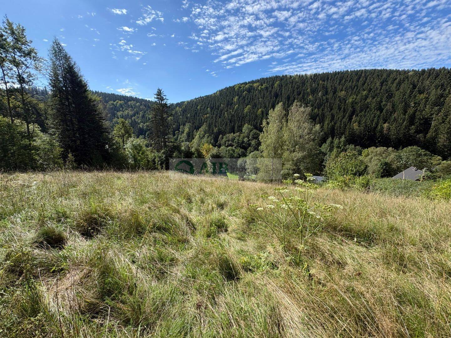 Schnäppchenjäger aufgepasst! Erzgebirgswiese + Mischwald + 2 Garagen + Abrissobjekt, 9518 Großrückerswalde