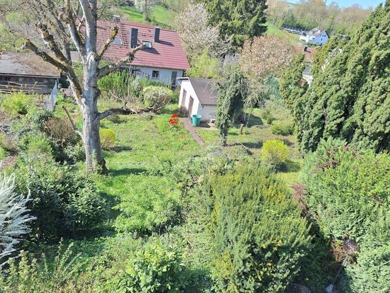 Bild 8