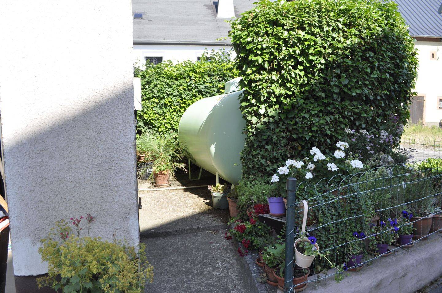 Bild 5