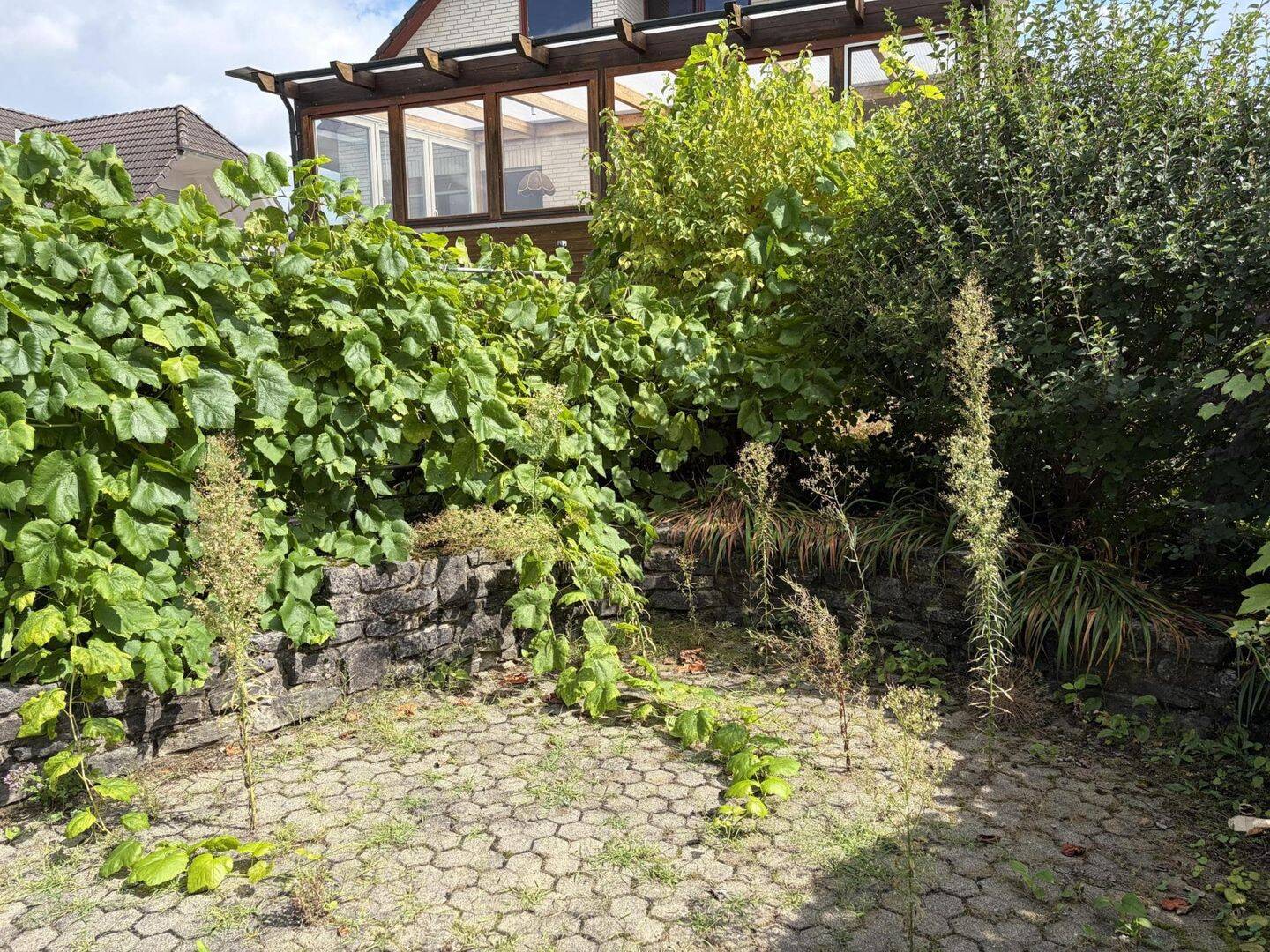 Bild 5