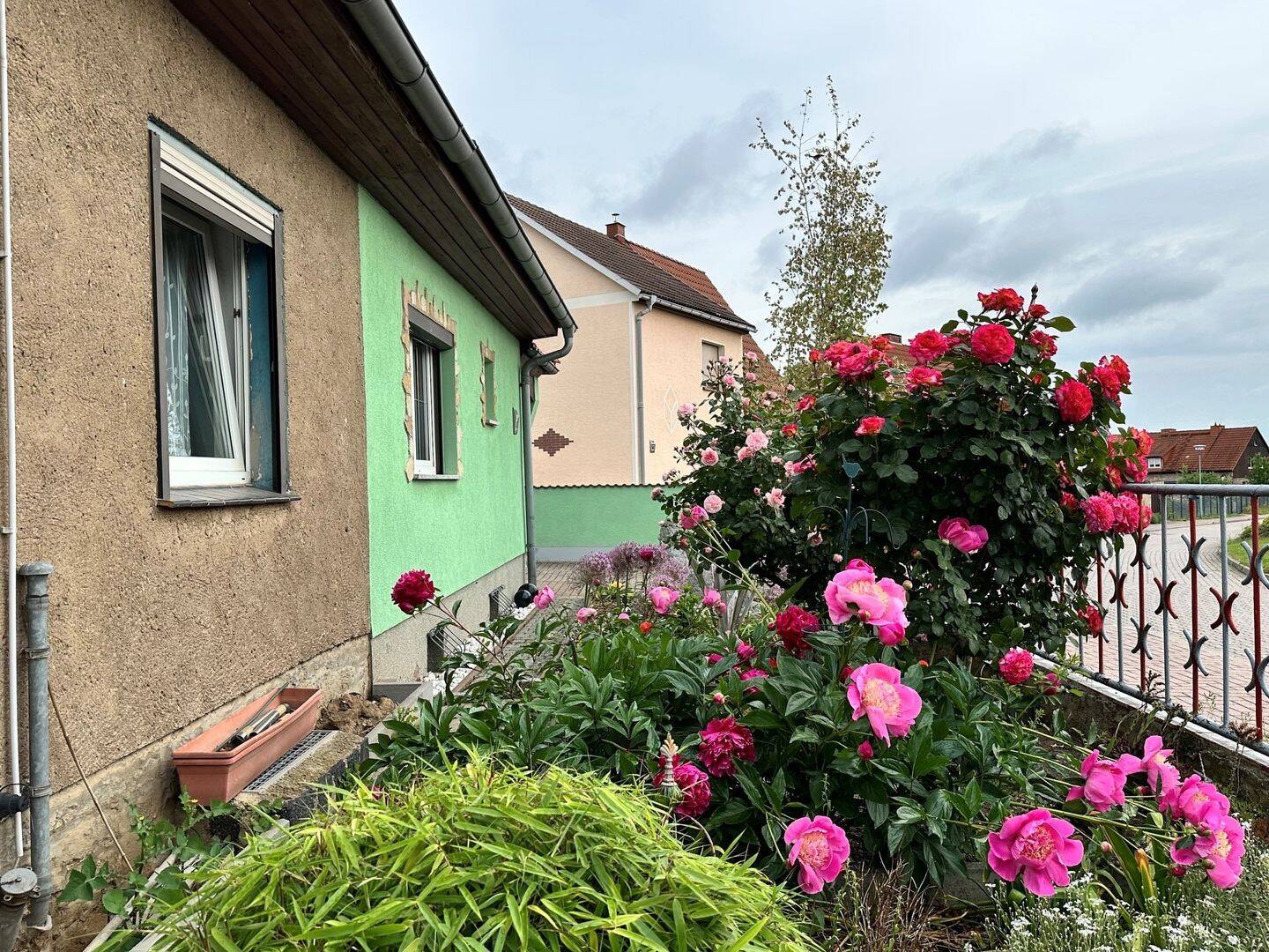 Bild 5