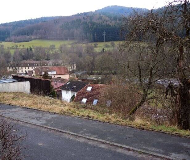 Baugrundstück, 790m², Hanglage, 22.000.- Euro, 97769 Bad Brückenau