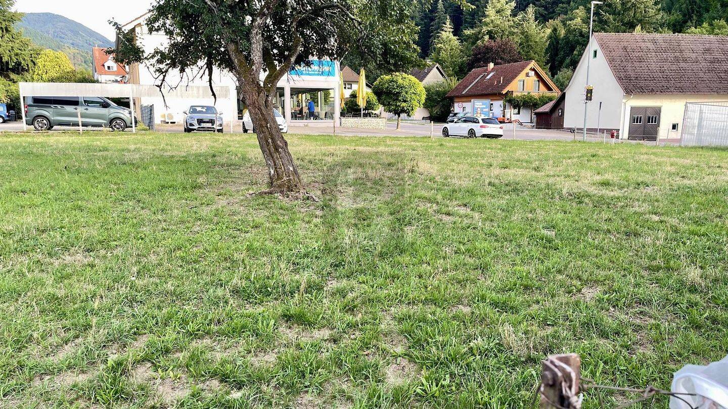 1976 M² & ZWEI GROSSE BAUFENSTER, 79244 Münstertal/Schwarzwald